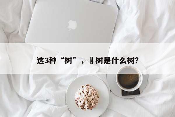 这3种“树”，枍树是什么树？