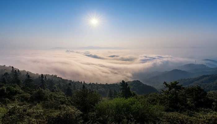 会当凌绝顶一览众山小写的是哪座山