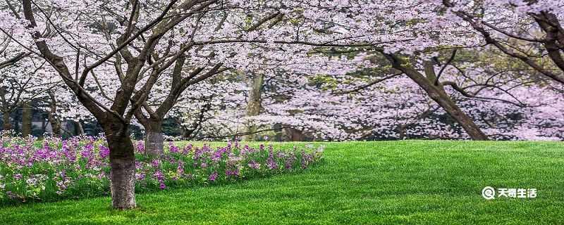 湖州市春季赏花去哪里