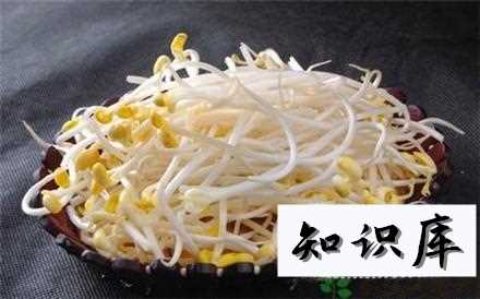 如何将黄豆做成豆芽 黄豆豆芽制作方法