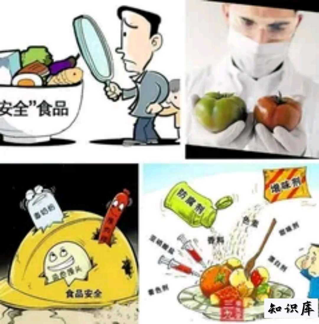 为什么黑作坊和食品安全问题屡出不绝 食品加工黑作坊