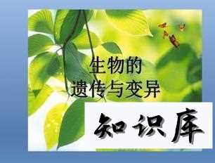 生物如何学习如何学好生物 生物怎么才能学好