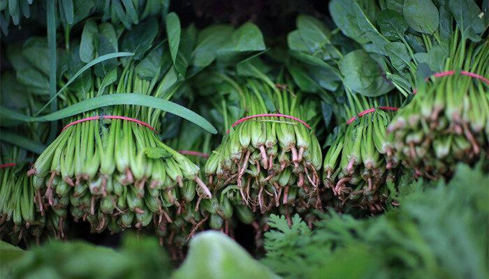 菠菜十月份种植多久可以收 菠菜十月份种植几天可以收