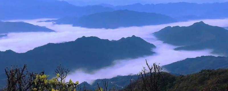 《雪峰山最高峰在哪里》