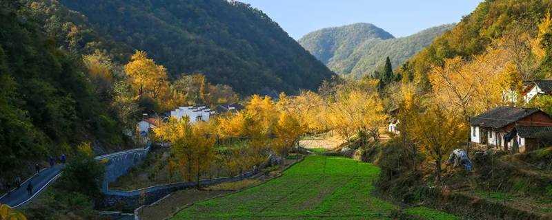 《钱冲村是哪个省市-钱冲村是哪个省市》